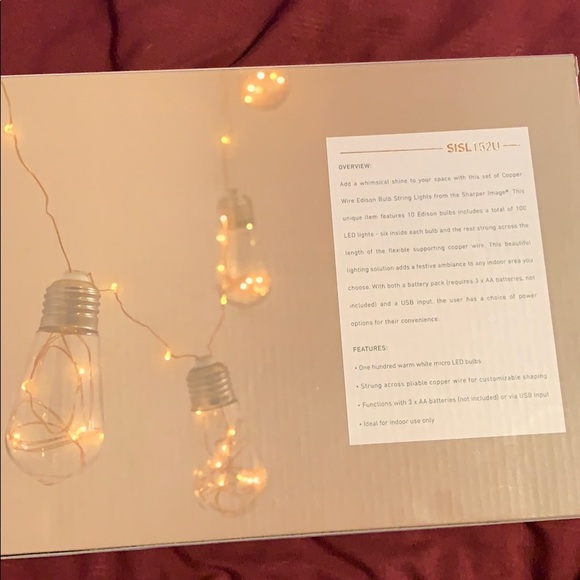 Copper wire Edison bulb light strand - Picture 2 of 2